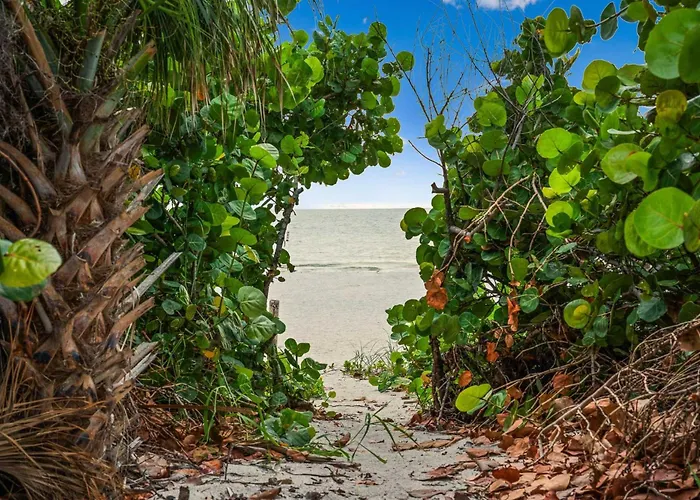 Luxury Family Beachfront Oasis Pool And Views Clearwater Beach
